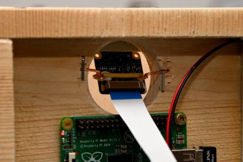 Kamera-Modul der IgelCam