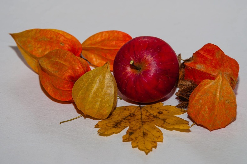 Herbstdeko.jpg