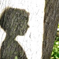 Rinden-Silhouette