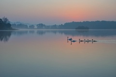 Sonnenaufgang am See