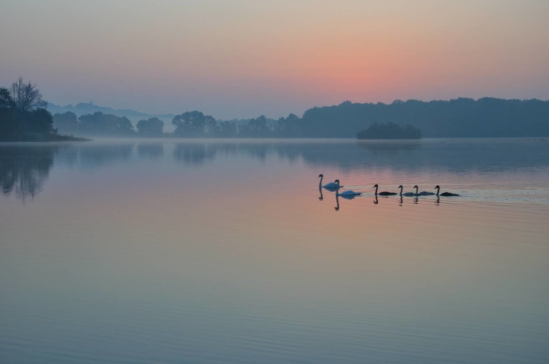 Sonnenaufgang am See