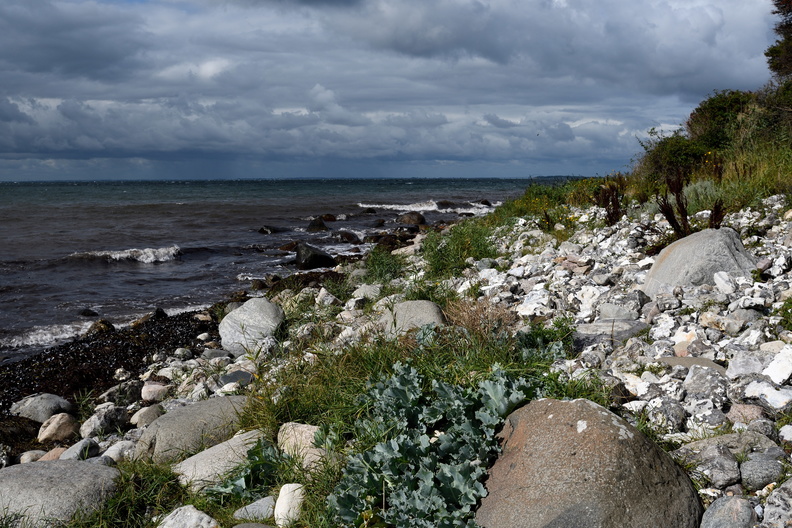 Fehmarn-Küste.JPG
