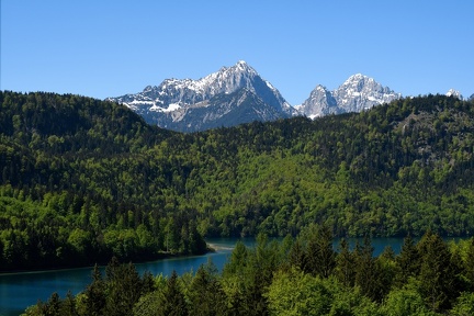Albsee